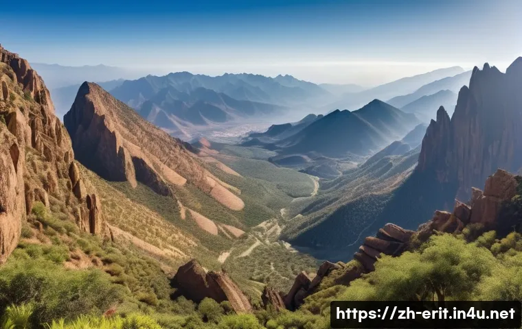 에리트레아의 조류 관찰 관련 이미지 1