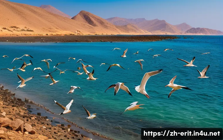 探索厄立特里亚观鸟的5大必备技巧,开启奇妙鸟类之旅 4 에리트레아의 조류 관찰 관련 이미지 2