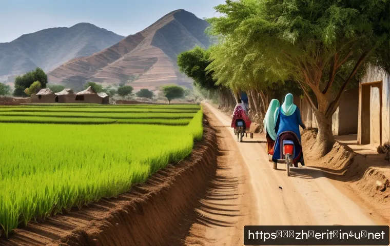 에리트레아 대중교통 시스템 관련 이미지 1